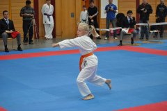 2skr2010_8_20101215_1021503054