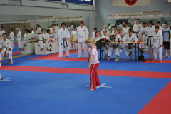 image_10_20111109_1700074909