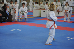 images_9_20111109_1670556293