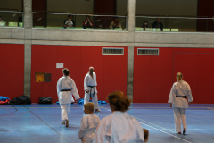 IMG_8500