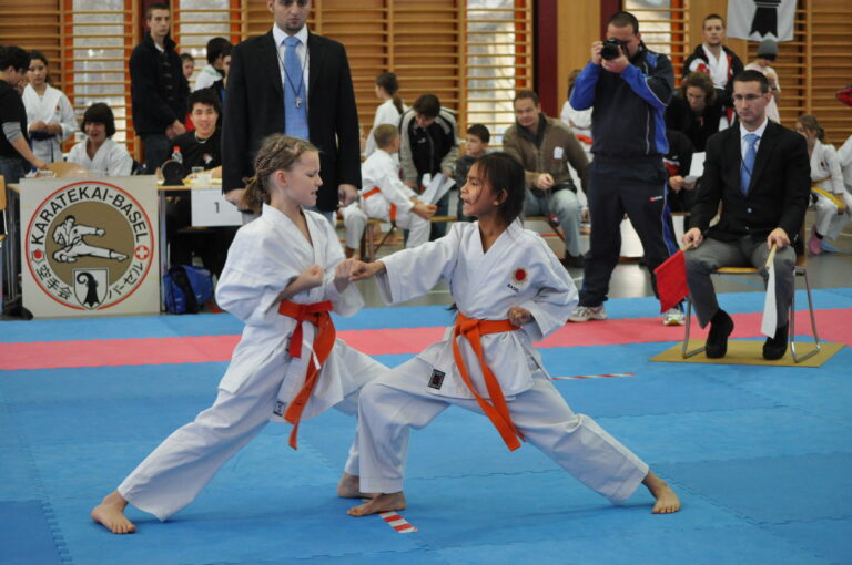 Read more about the article SKR Kinder und Kyuturnier 2010 in Muttenz