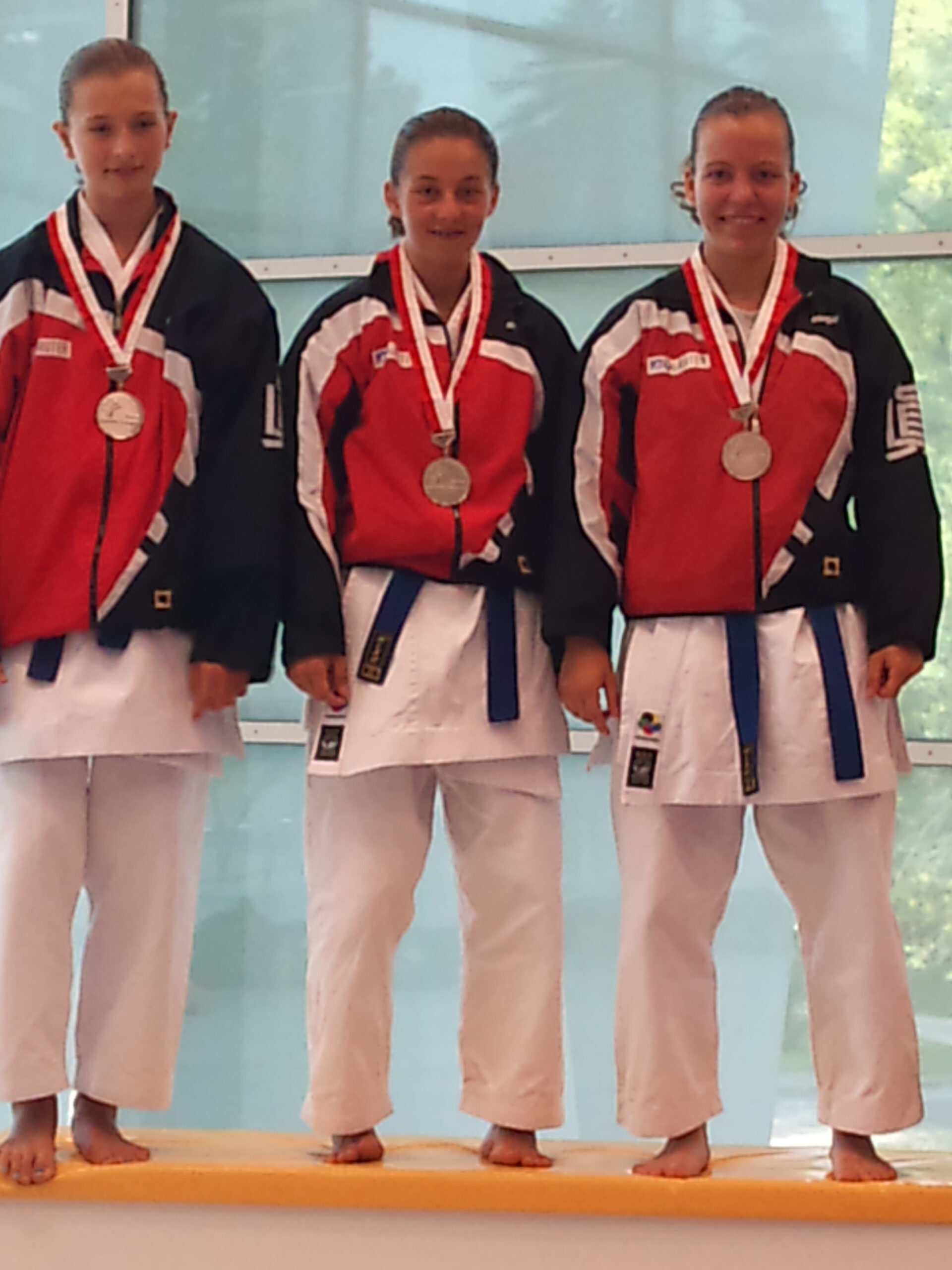 Read more about the article Vize-Schweizermeisterinnen Team Kata