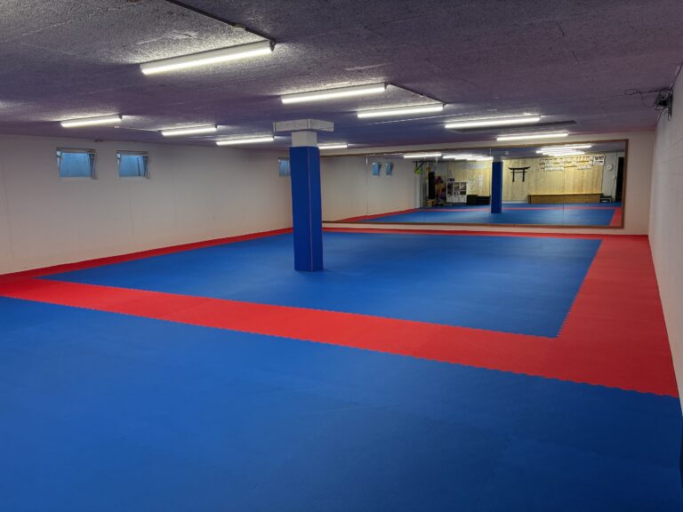 Huttwil Dojo 2