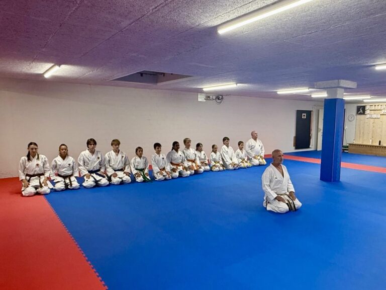 Huttwil Dojo 3